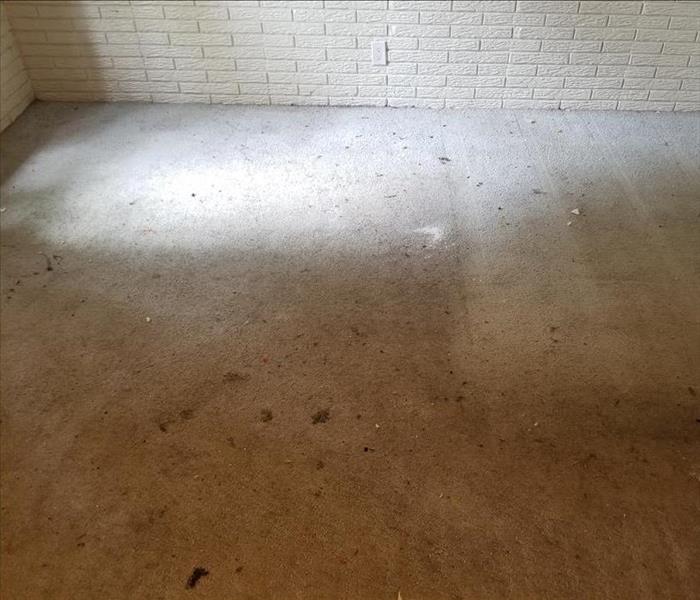 Carpet stains from previous occupants of this northwest Iowa property which included caked in dirt, pet stains, and even oil.