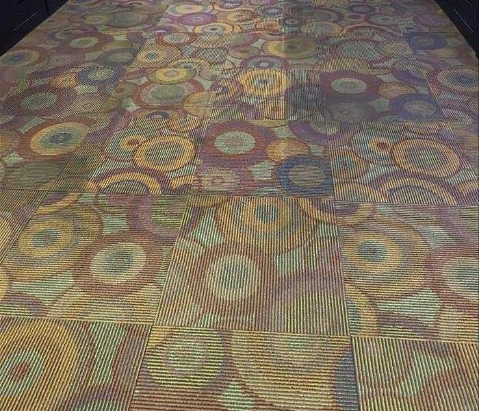 Photo of carpets prior to our crew beginning the cleaning process. 